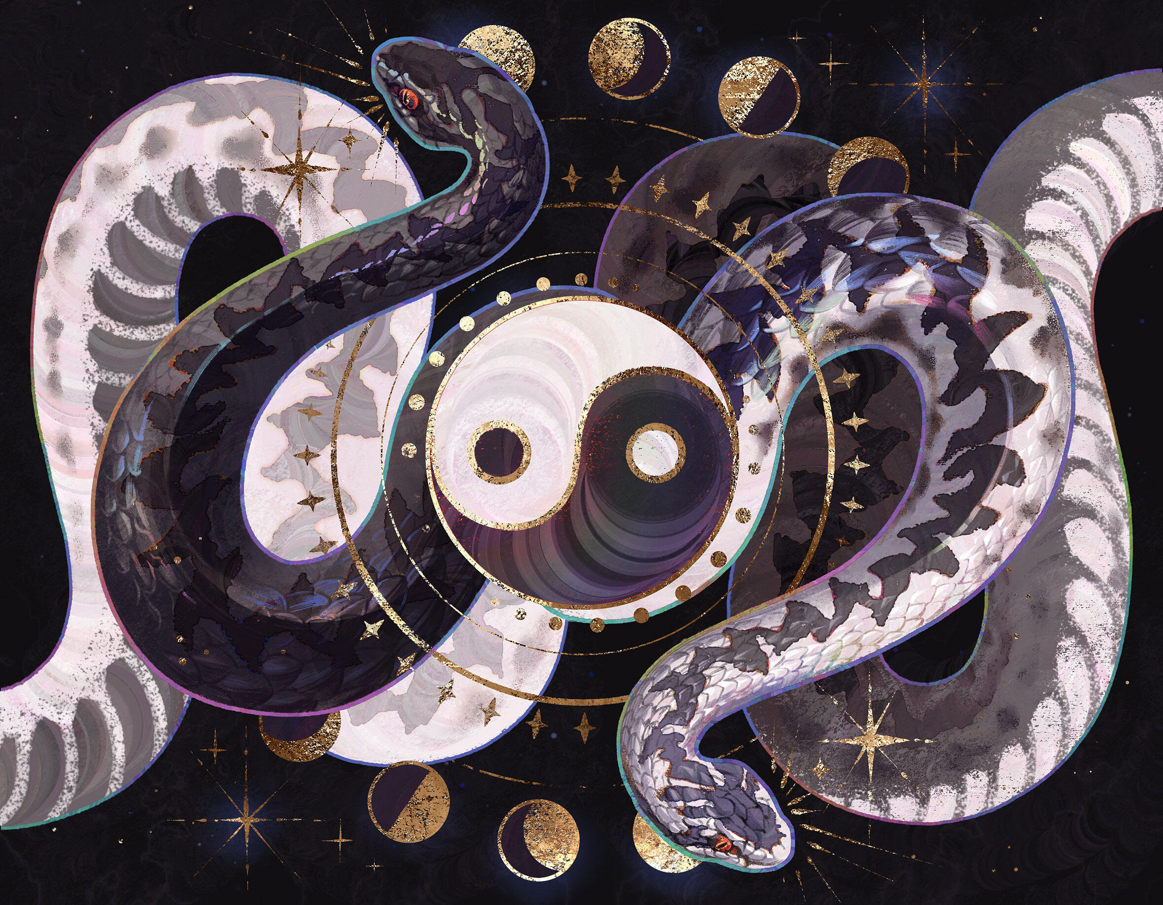 two european adders, melanistic and common coloration, curl around the Yin Yang symbol